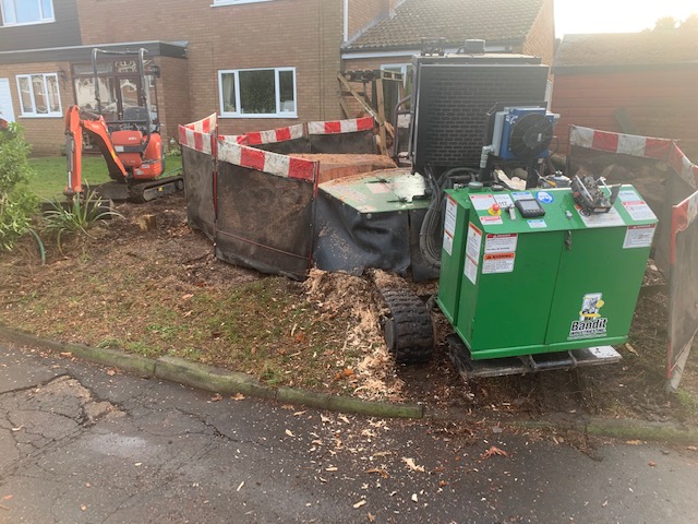 Stump Grinding